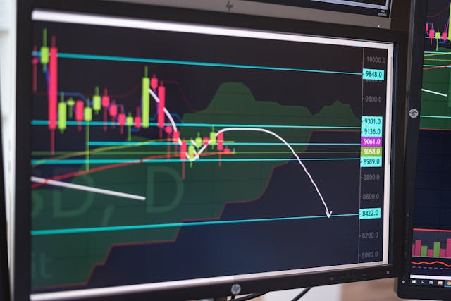 Budget management interface